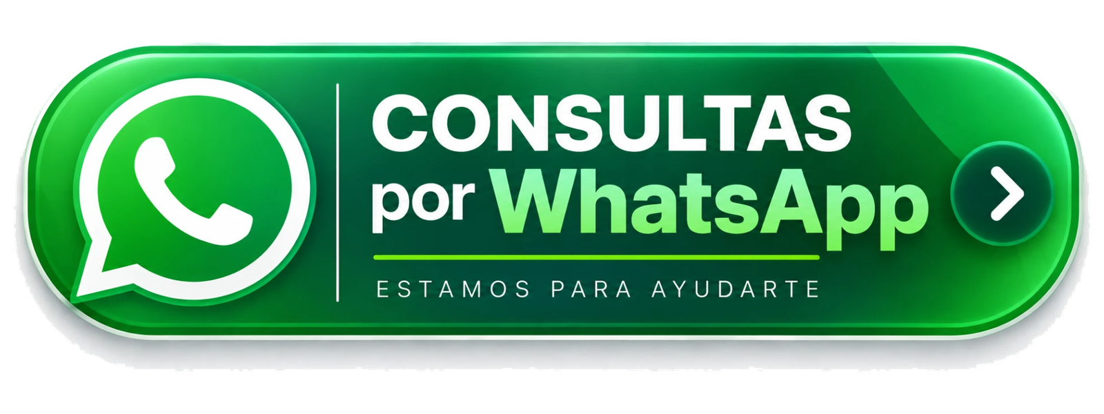 Consultas por WhatsApp